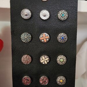 CHIC 12 Magnolia & Vine Set | Snaps & Bracelet| Mixed Styles | Charm Lot